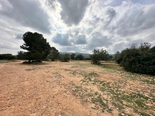 property-image