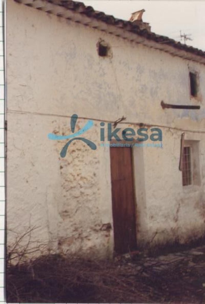 Featured Photo