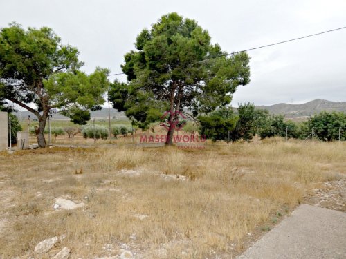 property-image