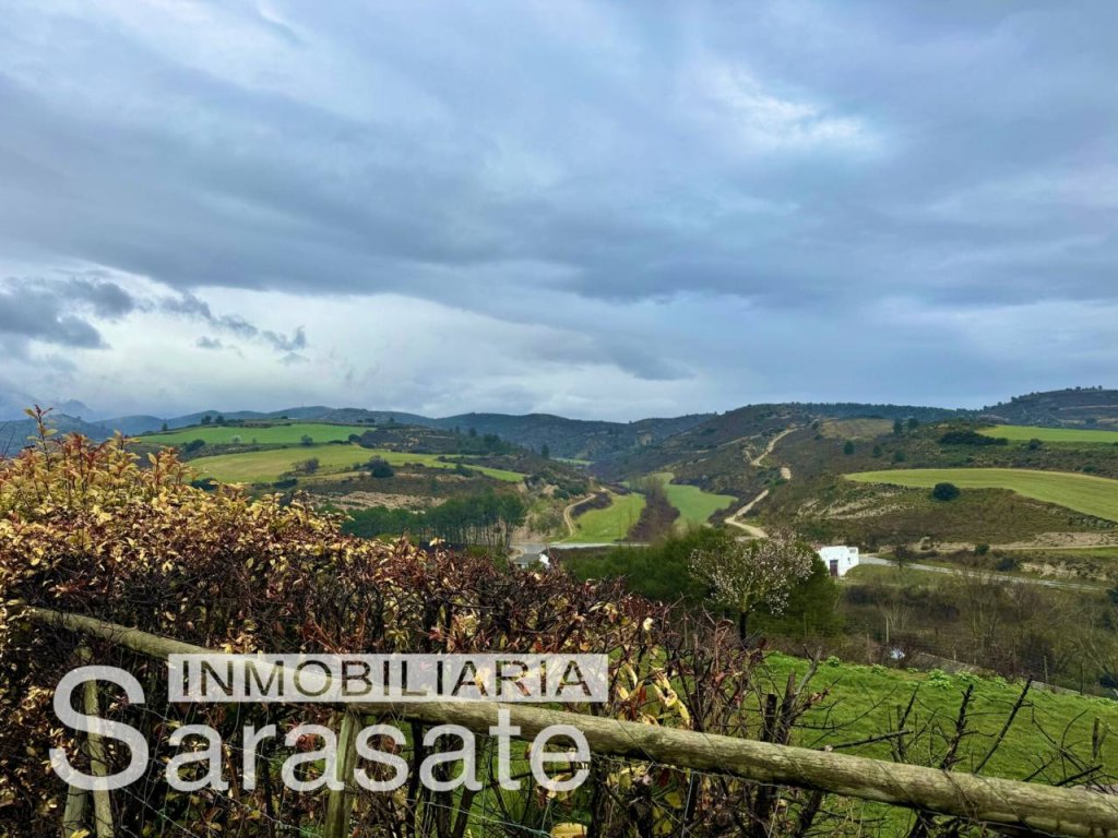 Featured Photo