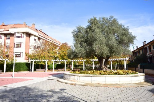 property-image