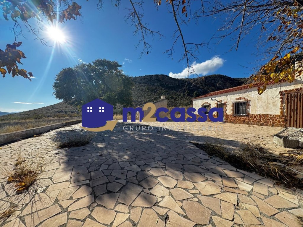 Featured Photo