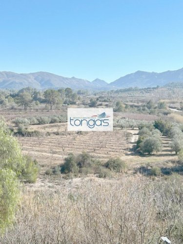 property-image