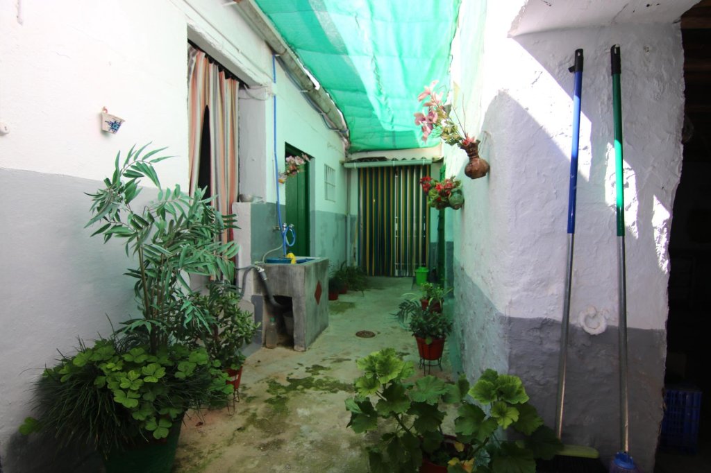 Featured Photo