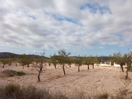 property-image