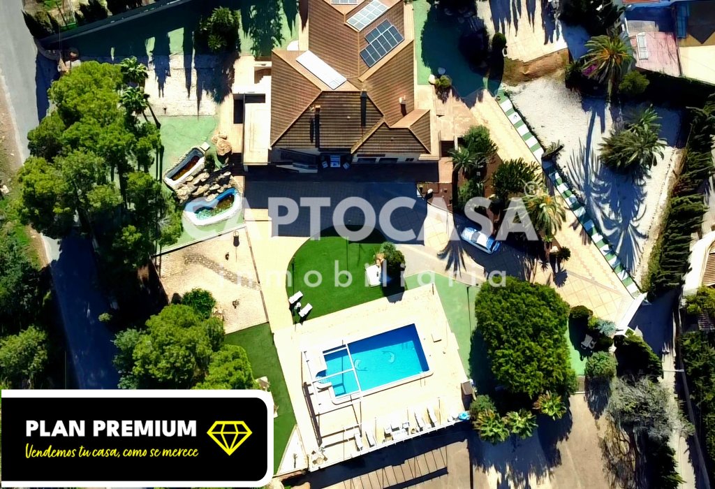 Featured Photo