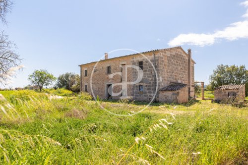 property-image
