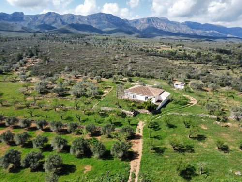 property-image