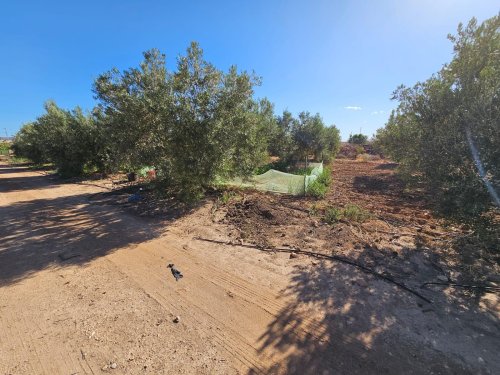 property-image