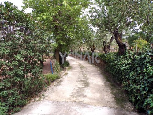 property-image