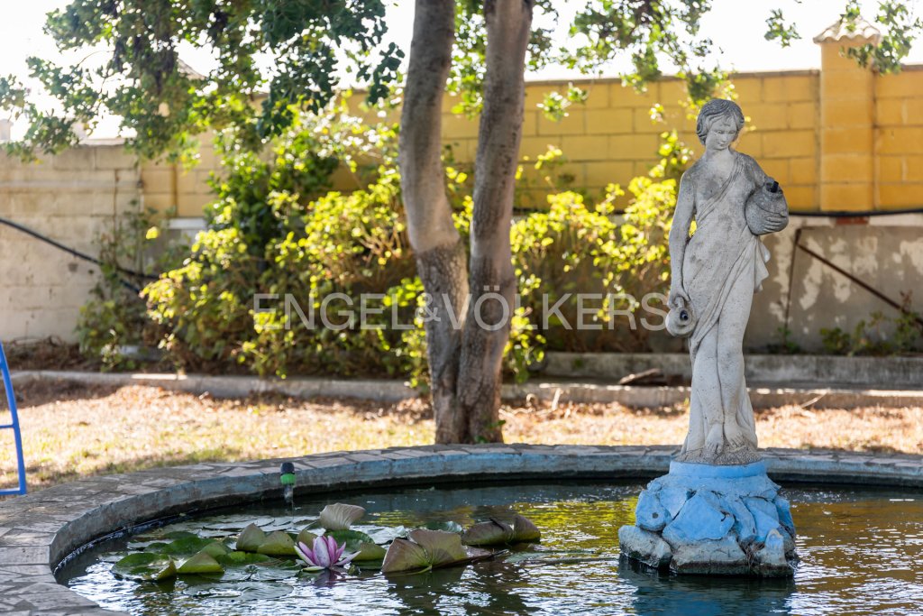Featured Photo
