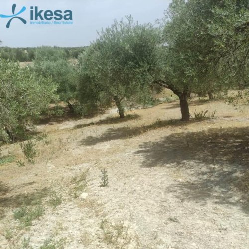 property-image