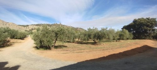 property-image