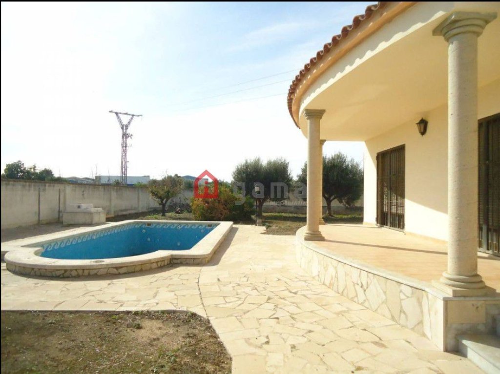Featured Photo