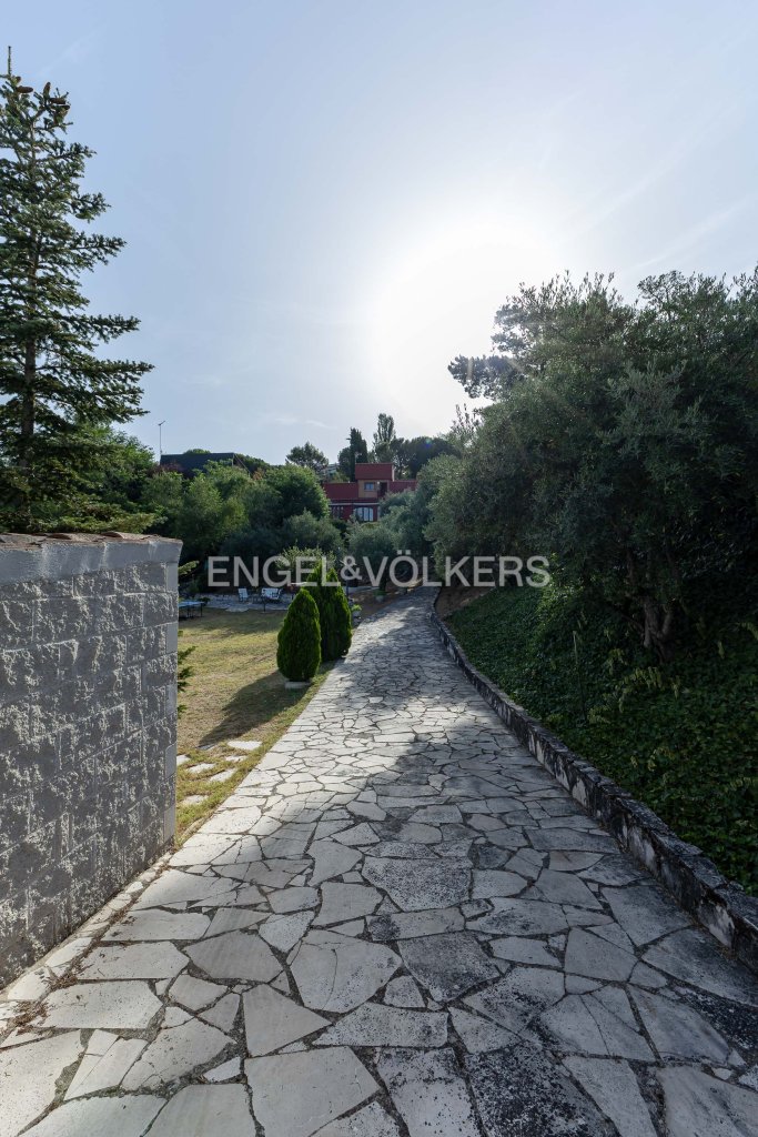 Featured Photo