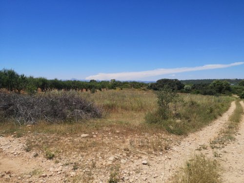 property-image