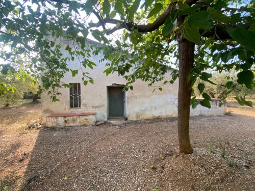property-image