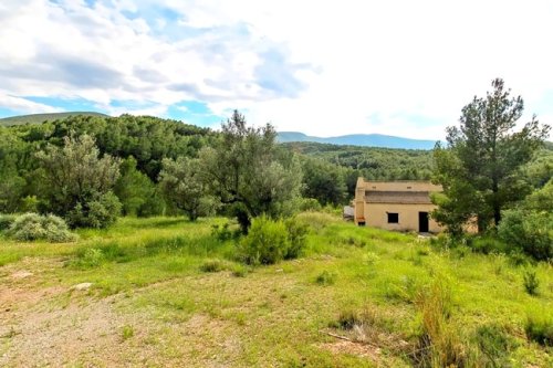 property-image