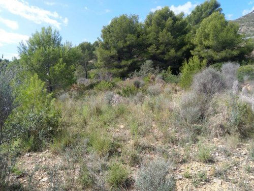 property-image
