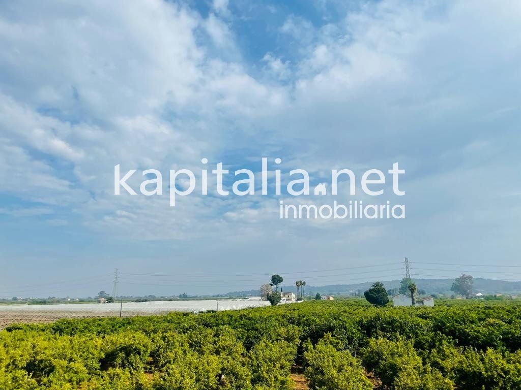 Featured Photo