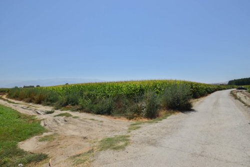 property-image
