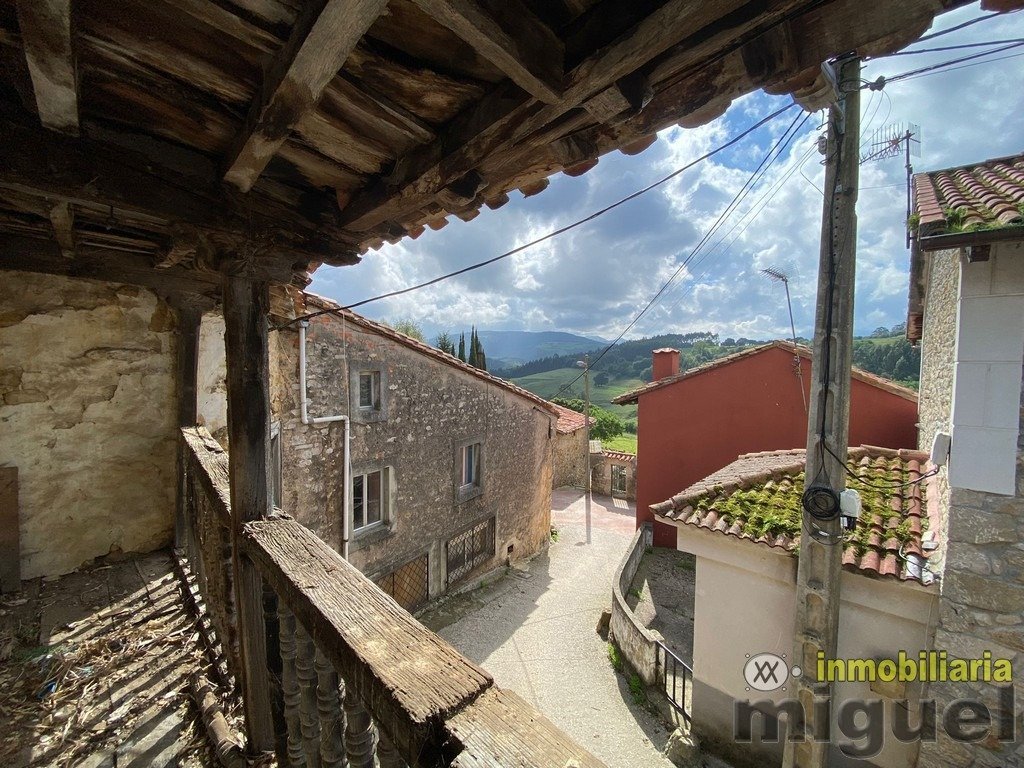 Featured Photo