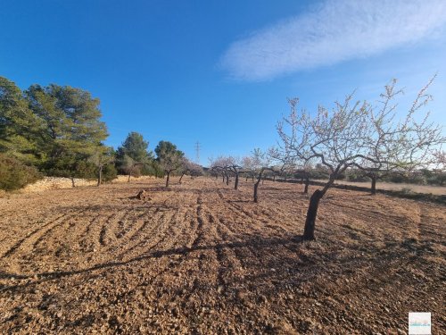 property-image