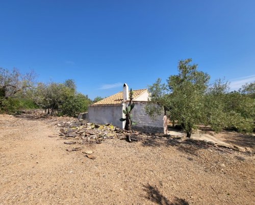 property-image