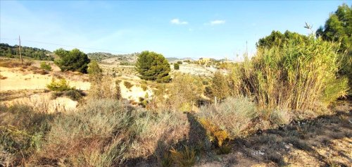 property-image