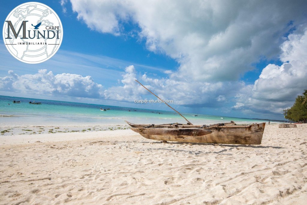 Featured Photo