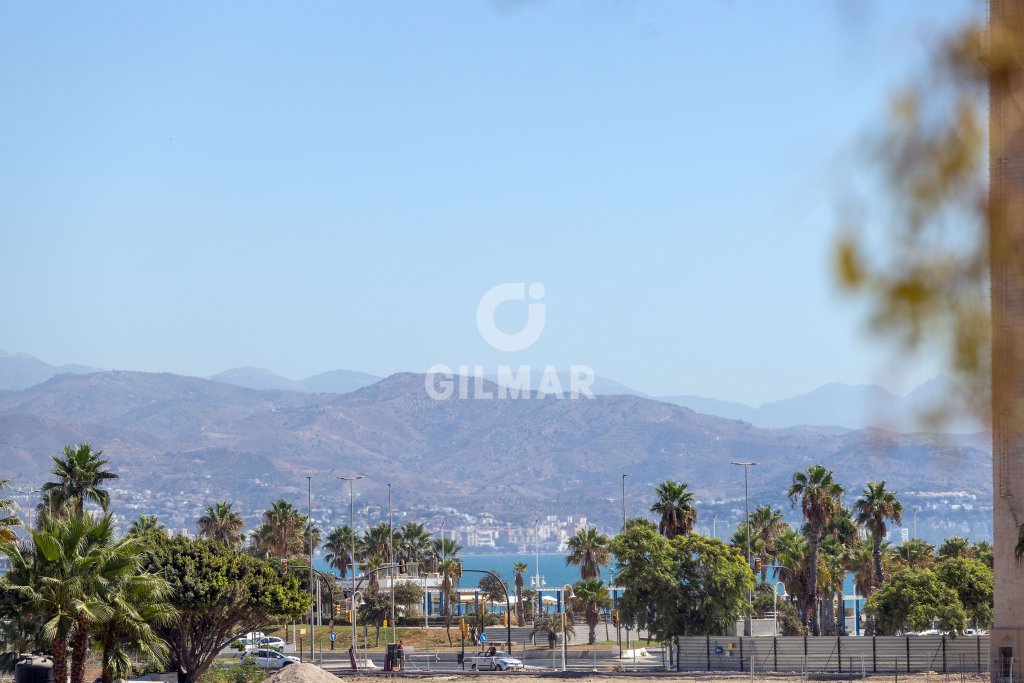Featured Photo