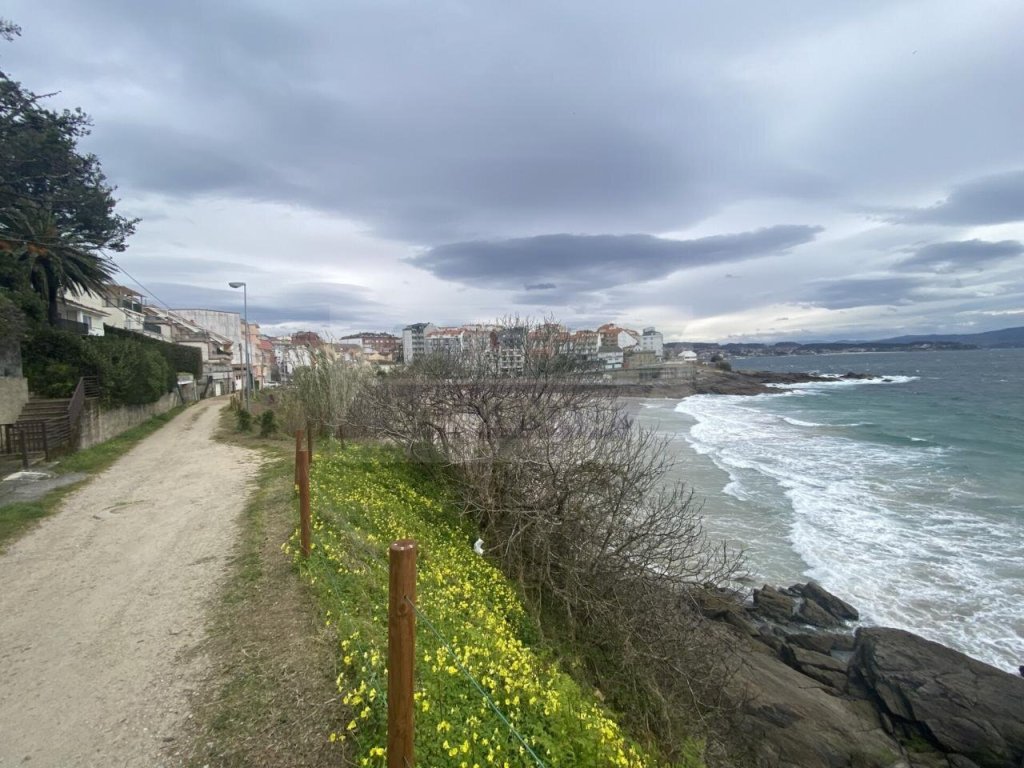 Featured Photo