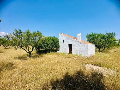 property-image