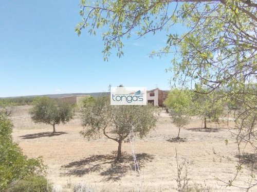 property-image
