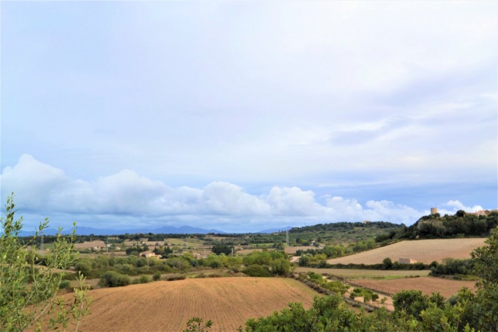 Featured Photo
