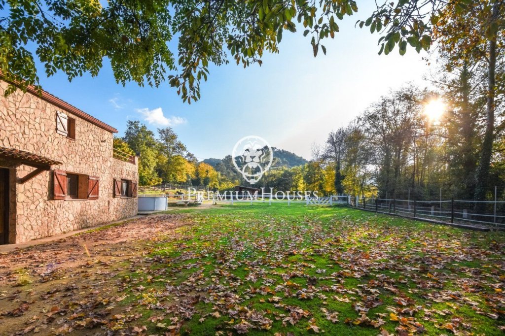 Featured Photo