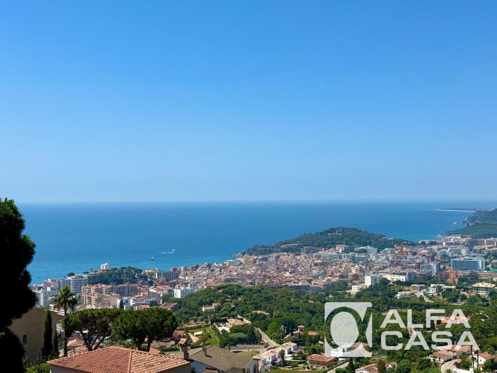 Featured Photo
