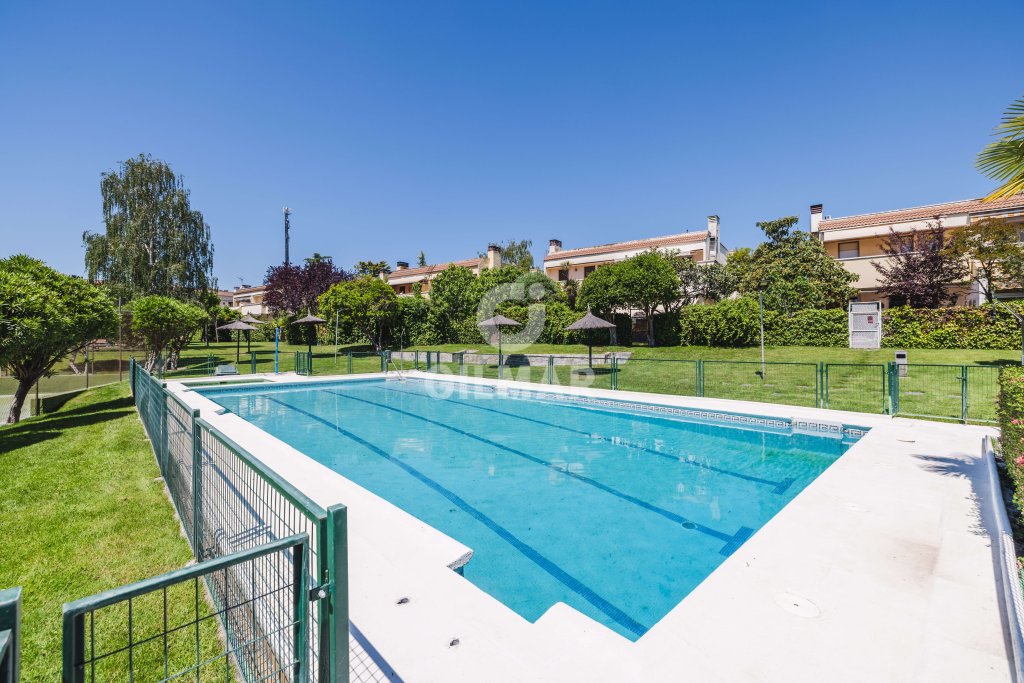 Featured Photo