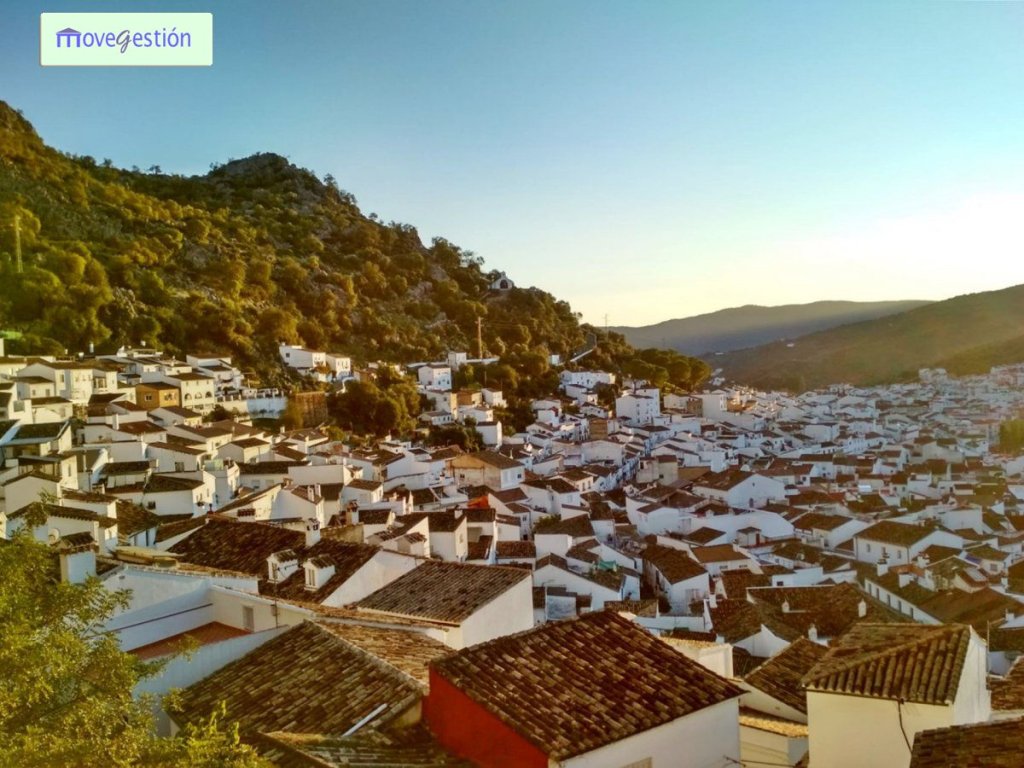 Featured Photo