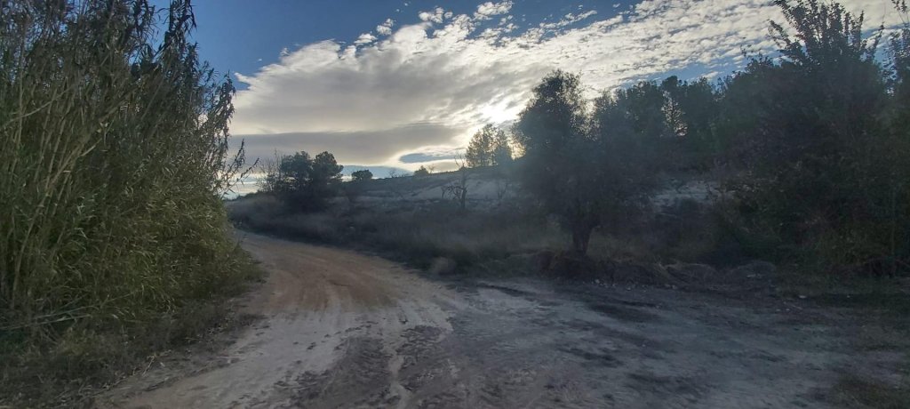 Featured Photo