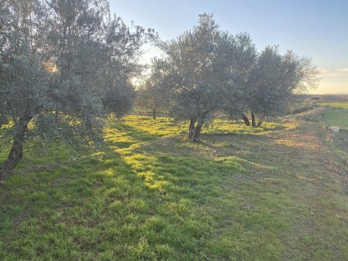 property-image
