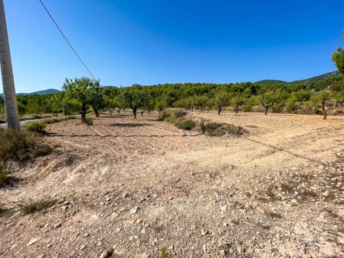 property-image