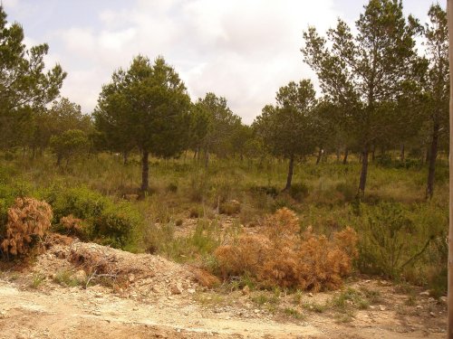 property-image