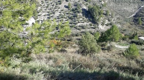 property-image