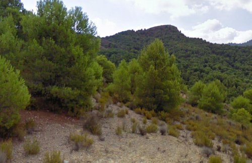property-image