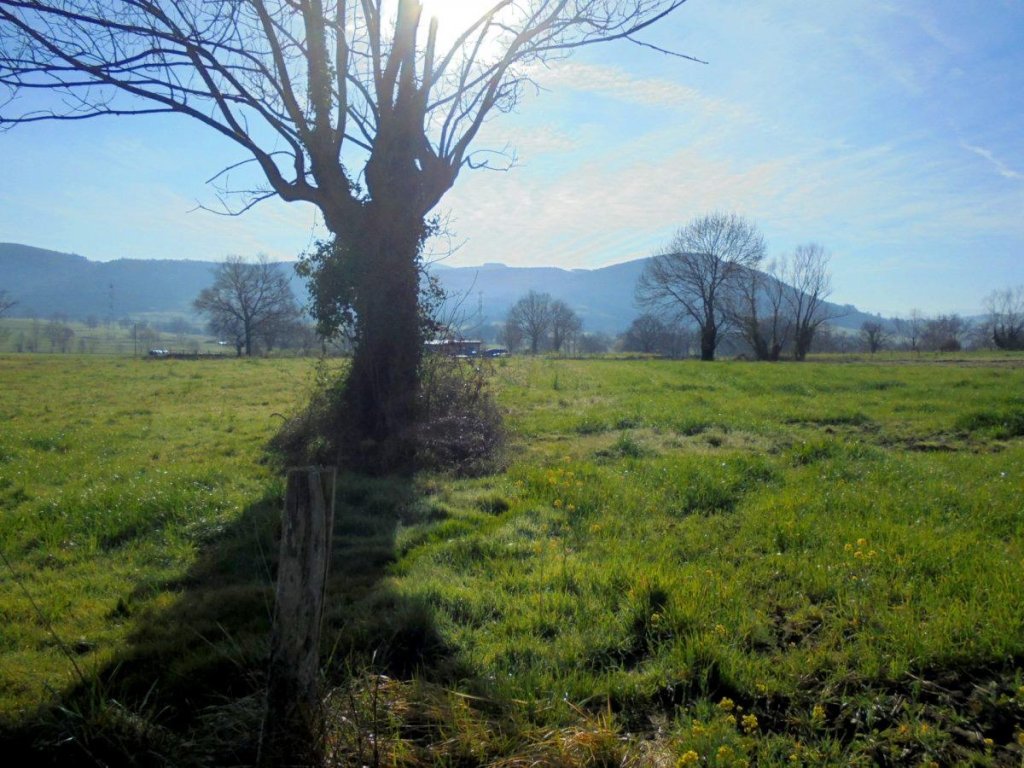 Featured Photo