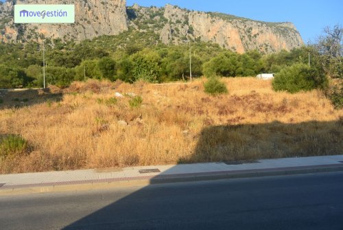 property-image