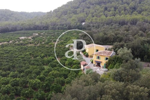 property-image