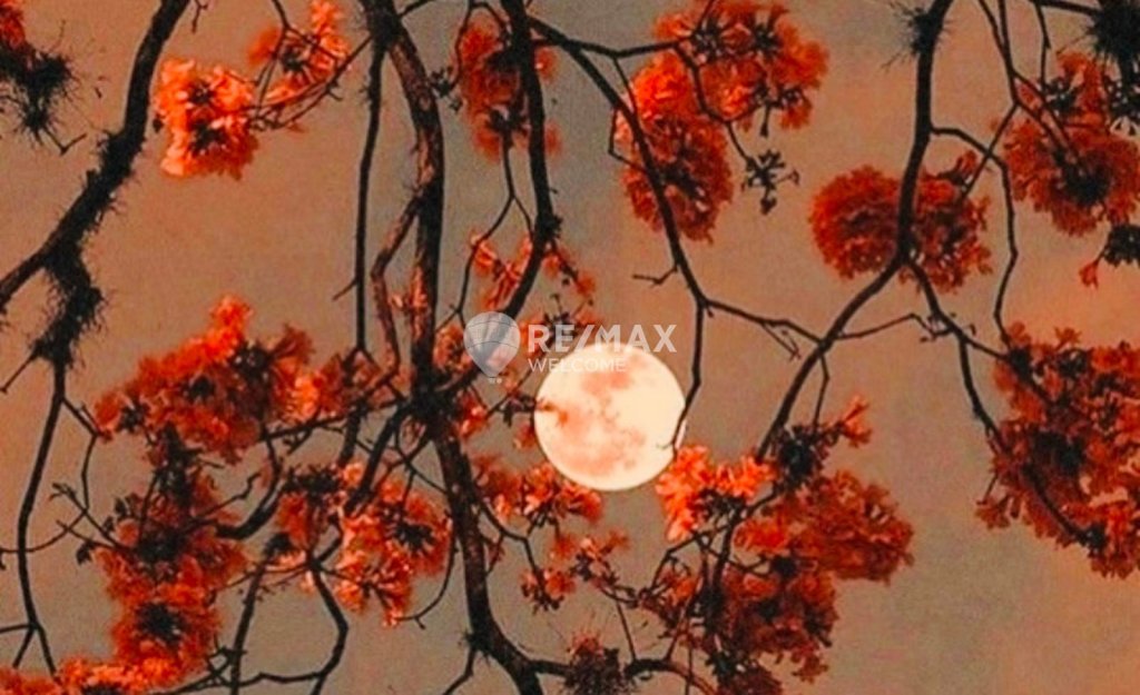 Featured Photo