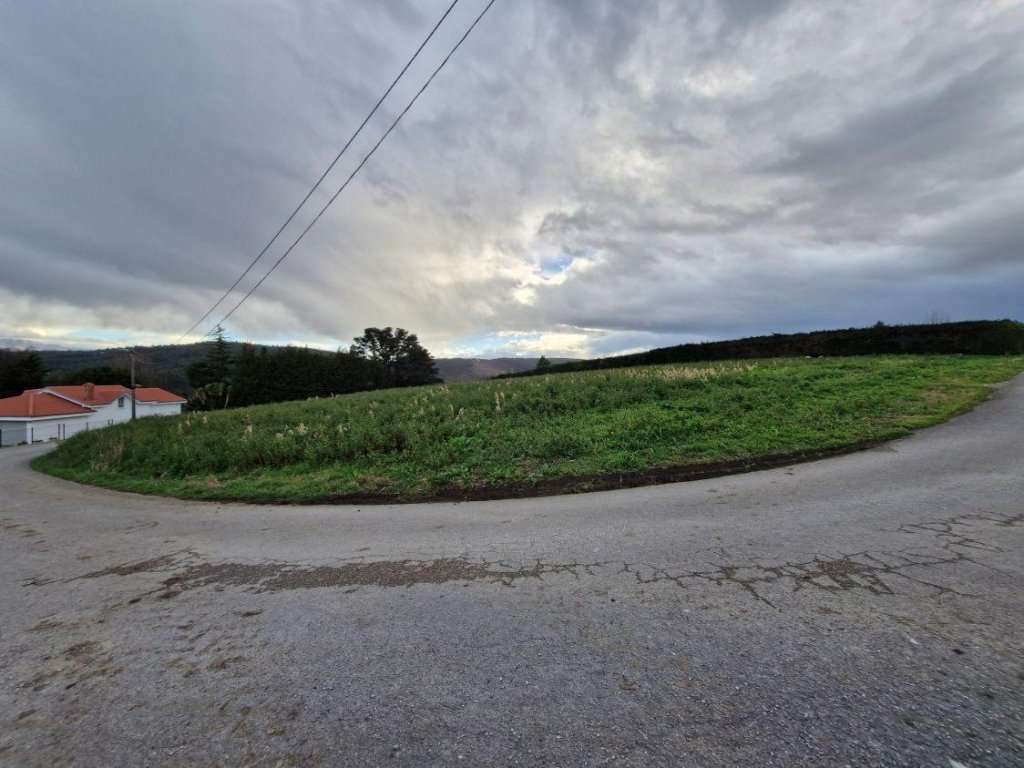 Featured Photo